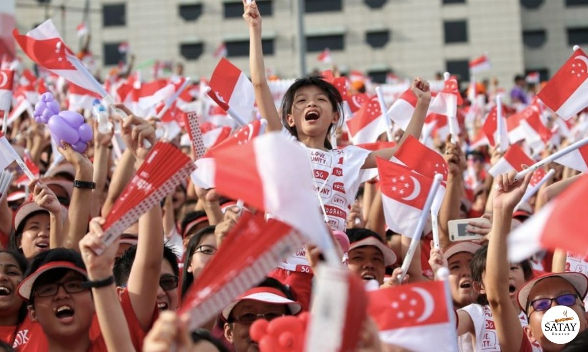 Our Singapore, Our Choice: Voting Pro-Singapore, Not Just Anti-Establishment