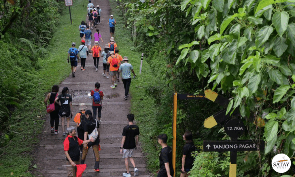 New Walking Trails Launched in Singapore, Offering Vouchers for Hikers