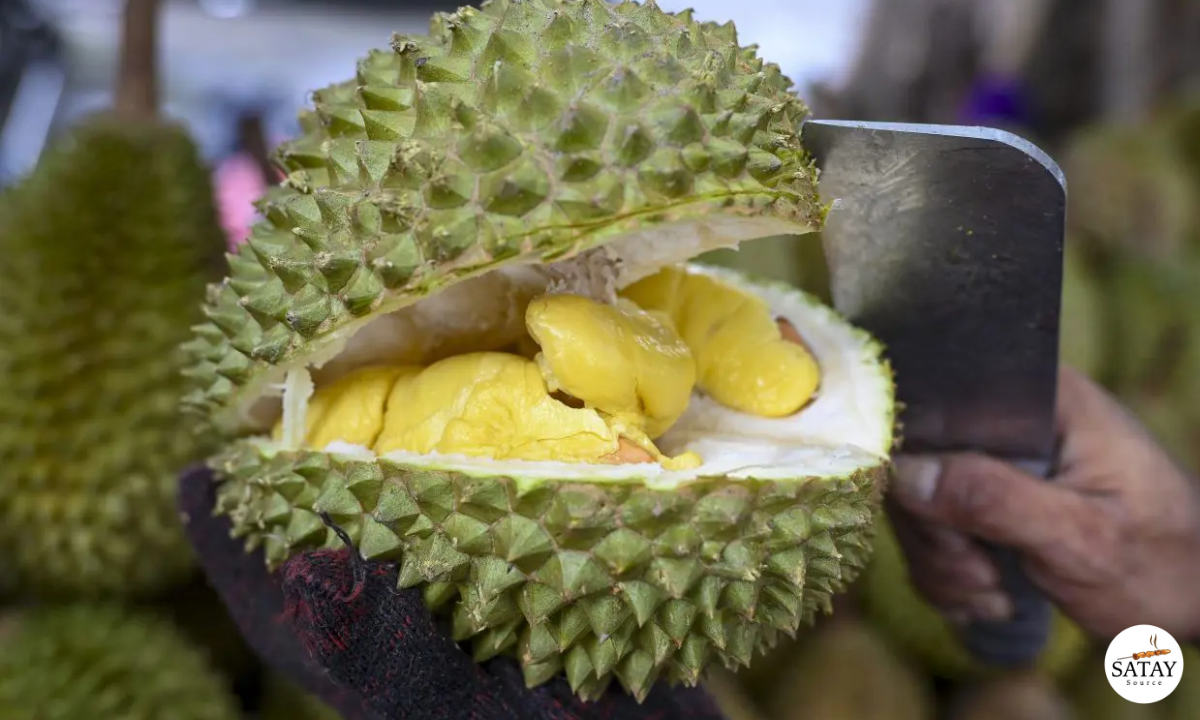 Musang King Durian Prices Hit Decade Low in Singapore, Expected to Last Two More Weeks